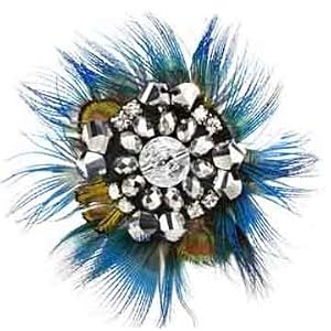 Blue Shoe Clips on Amazon Com  Blue Feather Shoe Clips By Erica Giuliana Sc19  Home