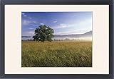 IMAGE OF Framed Prints of USA, Tennessee from Danita Delimont