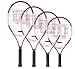 Sports : Wilson Roger Federer 19, besaitet, Griff: L0