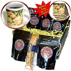 Dogs Norfolk Terrier - Norfolk Terrier - Coffee Gift Baskets - Coffee Gift Basket by Decaf Espresso Roast