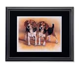Two Baby Beagle Puppy Dogs Hunting Picture Double Matted (black over white) Framed Art Print