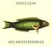 Ars Mediterranea