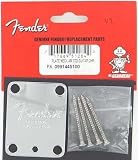 Fender US Strat Tele Guitar Corona Neck Plate