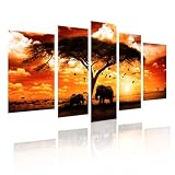 Bild - Sofort Aufhängfertig - Landschaft Afrika Sonnenuntergang-011198- XXL-Bild von XXL - alle Infos