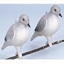 12-Pk. Flambeau� Dove Decoys