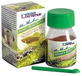 Attison's Betta Starter 12 Gram