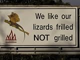 Bush Fire Conservation Road Sign Protects the Frilled Lizards Habitat, Australia Photographic Poster Print by Jason Edwards, 16x12