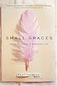 Small Graces: The Quiet Gifts of Everyday Life
