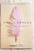 Small Graces: The Quiet Gifts of Everyday Life