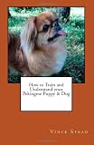 How to Train and Understand your Pekingese Puppy and Dog