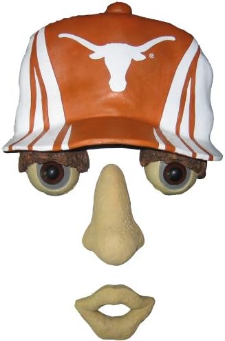 Texas at Austin Forest Face