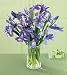 15 Stem Iris Flower Bouquet with Vase