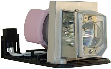 Replacement Projector Lamp Module BL-FP230H / SP.8MY01GC01 for Optoma GT750, GT750E, GT750-XL, TW610ST, TW610STi, TX610ST [180-Day Warranty]