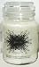 Moonfleet Night Jar Candle