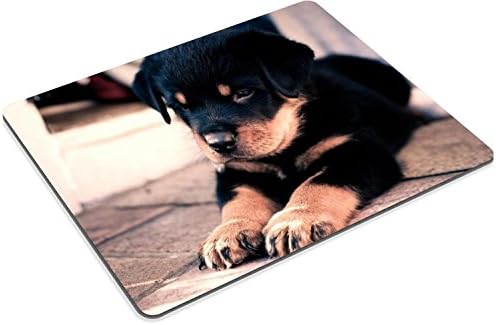 Puppy Rottweiler Pup Dog Pets Animal Mouse Pads Customized Made to Order Support Ready 9 7/8 Inch (250mm) X 7 7/8 Inch (200mm) X 1/16 Inch (2mm) High Quality Eco Friendly Cloth with Neoprene Rubber Liil Mouse Pad Desktop Mousepad Laptop Mousepads Comfortable Computer Mouse Mat Cute Gaming Mouse pad