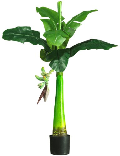 3' Silk Banana Tree