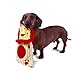 Outward Hound Kyjen 32055 Bottle Buddies Lion Squeaker Dog Plush Chew Toys, Large, Multicolor