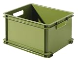 Curver - 199488 - Box de Rangement - Unibox Véritable - Ecolife - Vert - Polypropylène - 29 L