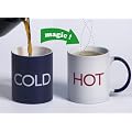 HOT/COLD Mug