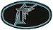 NFL Plastic Hitch Cover