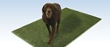 Artificial Grass~ Artificial Grass Designed Specifically For Dogs~ 2' x 3'