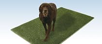 Artificial Grass~ Artificial Grass Designed Specifically For Dogs~ 2' x 3'