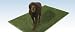 Artificial Grass~ Artificial Grass Designed Specifically For Dogs~ 2' x 3'