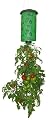 Felknor Ventures 82506 Topsy Turvy Upside-Down Tomato Planter
