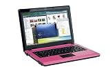 Hyrican NOT01230 12,1 Zoll WXGA Notebook (Intel Core 2 Duo T5750 2GHz, 2GB RAM, 120GB HDD, Intel GM 45, DVD+- Brenner, Vista Home Premium) pink - 