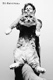 Ed Sheeran Cat Maxi Poster 61x91.5cm
