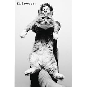 Ed Sheeran Cat Maxi Poster 61x91.5cm
