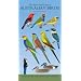 The Slater Field Guide to Australian Birds