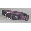 Adjustable Dog Collar, Purple, 3/8x7-12in