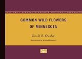 Common Wild Flowers of Minnesota