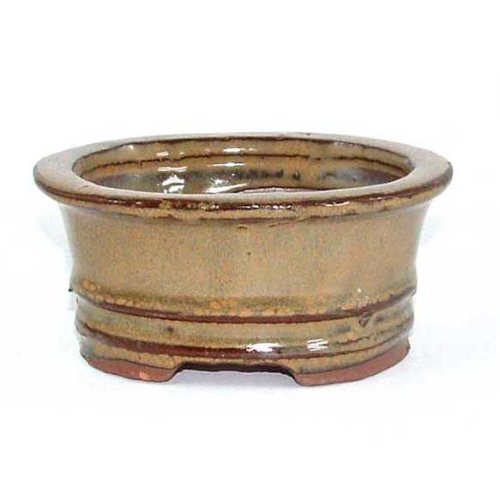 10.5cm Bonsai or Accent Pot - Olive Coloured 