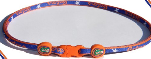 FLORIDA GATORS TITANIUM CORE SPORT NECKLACE
