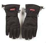 Dickies Insulated Winter Glove (D04BBLK-XL)