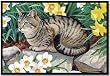 Tabby's Garden Gray Tabby Cat Kitten Doormat Mat Rug