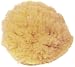 Urban Spa All-Natural Small Sea Sponge