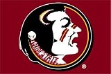 NCAA Florida State Seminoles 20 x 30 Rug