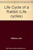 The life cycle of a rabbit