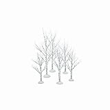 Department 56 Village Winter Birch Set of 6, Wrapped Wire