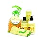 Little Twig Baby Basics Set