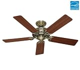 Hunter 25511 Summer Breeze 52-Inch Five-Blade Ceiling Fan, ...