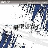 Ugly Remnants: Volume Two