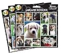 Arf Art Stickers, Breed: Welsh Corgi