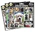 Arf Art Stickers, Breed: Labrador Retriever