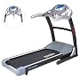 3.0 HP 10.4" TFT Color Screen Treadmill by By Mistral