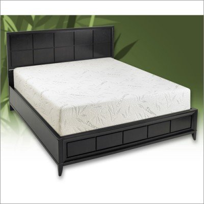 EComfort Eco 2 10 Inch Premium Mattress