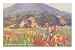 Picking Flowers, Mission Viejo, California Premium Poster Print, 16x24
